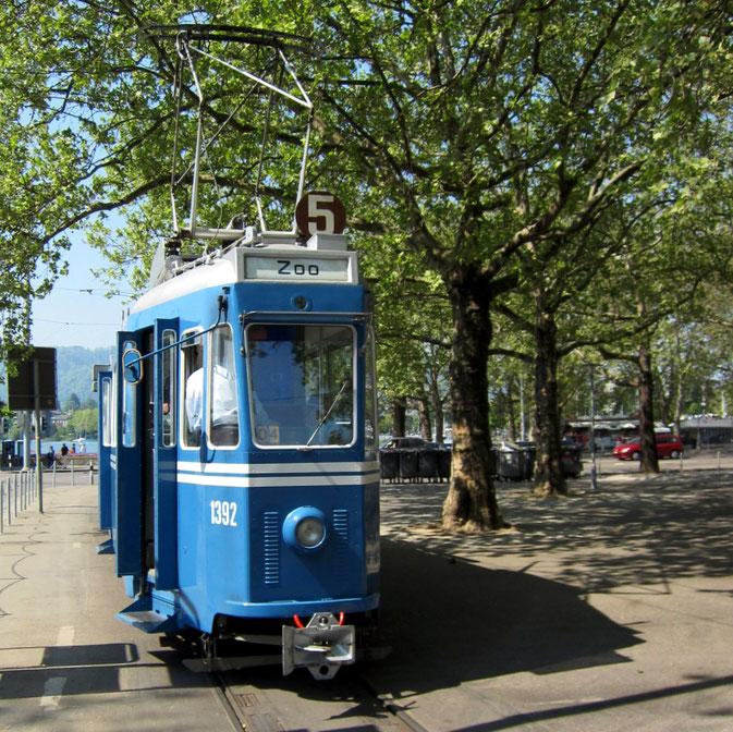 streetcar,  Strassenbahn,  Tram,  Zürich,  TMZ,  Museumslinie,  21,  Trammuseum,  zurich,  switzerland,  museum,  historical,  schweiz,  suisse,  svizzera,  Depot,  Burgwies,  public,  transport,  tramway, ce, 4/4, kurbeli, stoll, hans, rudolf, 1392