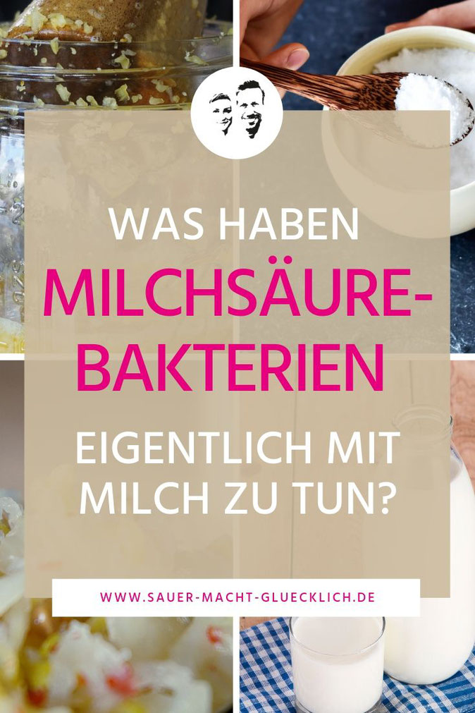 milchsäurebakterien, milchsäuregärung