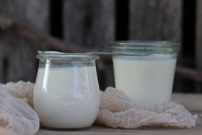 selbstgemachtes Joghurt