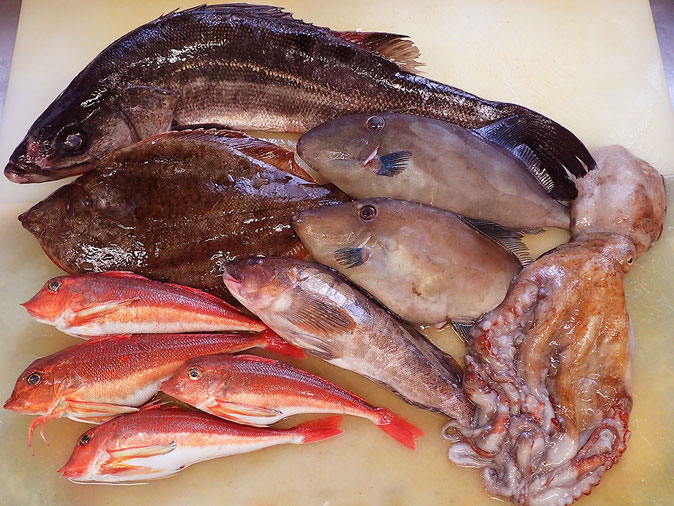 秋田の地魚　高級寿司