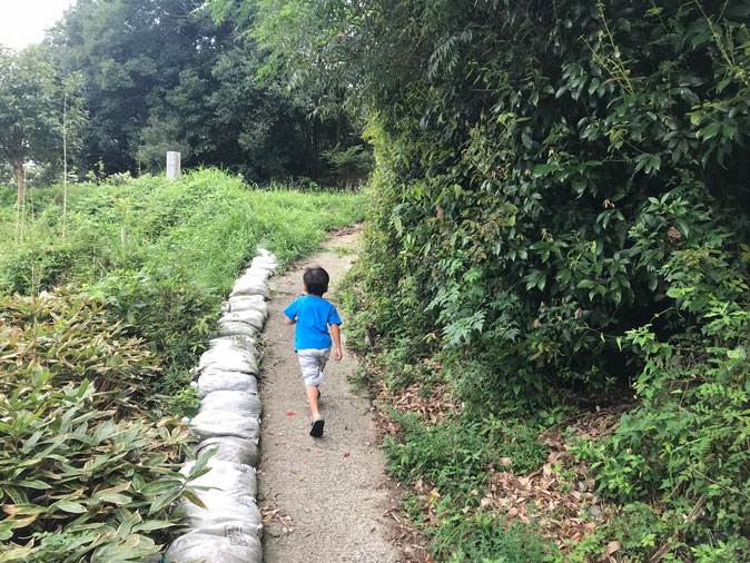 山を走る少年