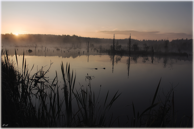 Idylle bei Sonnenaufgang