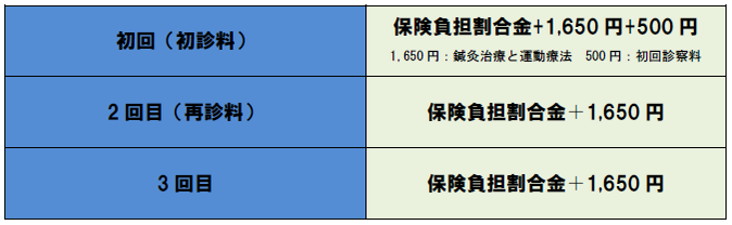 松戸市　新松戸　ポプラはりきゅう整骨院　治療料金