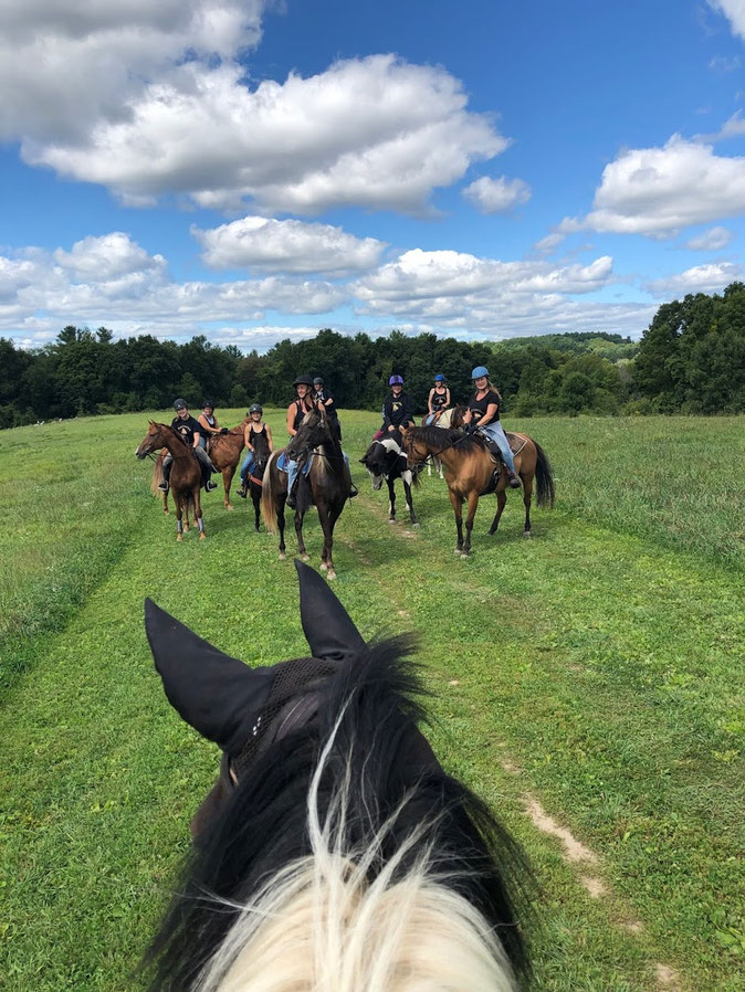 Horse Riding Trails West Newbury MA windcresthorsefarm