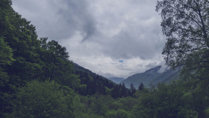 montagne bulgarie rila bigousteppes forêts