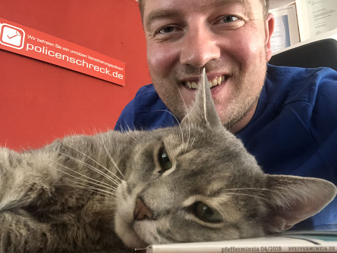 Katzenkrankenversicherung - Katzen-OP-Versicherung - Catshealth - Versicherungsmakler Rüsselsheim