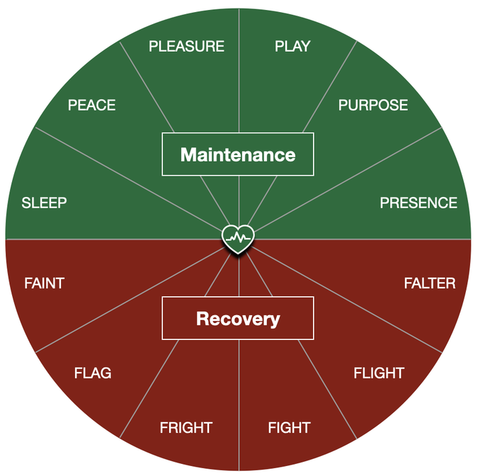 emotional hygiene, Emotion regulation, self-regulation, broaden & build, Emotional hygiene, well-being hygiene