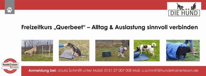 Start des Freizeitkurses "Querbeet": Samstag, 20.06.2026, 10:15 Uhr in Thüngersheim