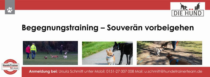 Start des Hundebegegnungskurses Montag, 29.06.2026, 19:30 Uhr