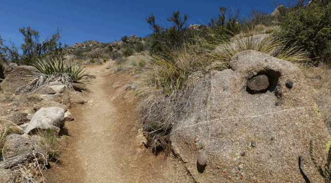 At this boulder with the prominent xenolith (embedded dark stone), the correct trail bends sharply left and up. Past this point the route is fairly obvious.