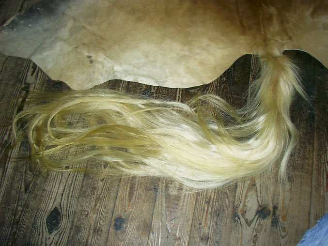 Pferdeschweif