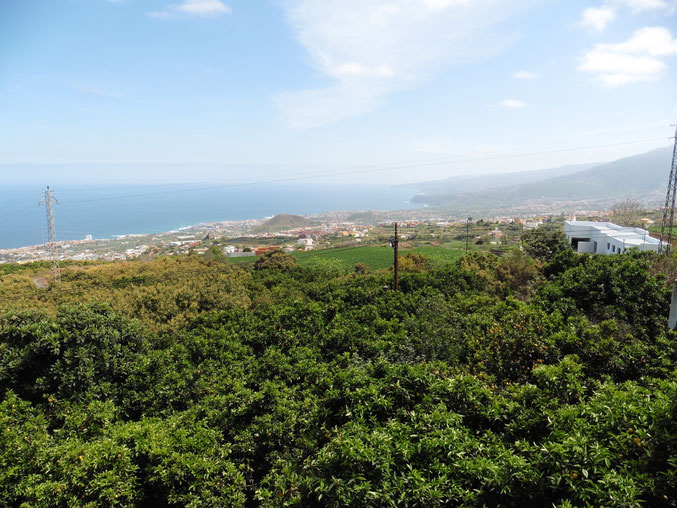 Ausblick auf Puerto de la Cruz und die Nordküste