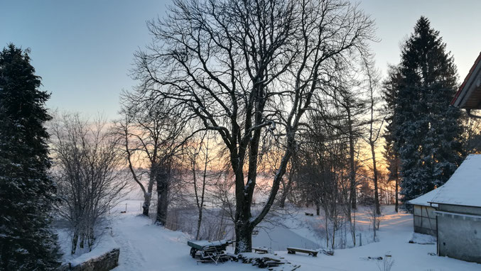 Leben auf dem Ponyhof / Leben mit Pferden