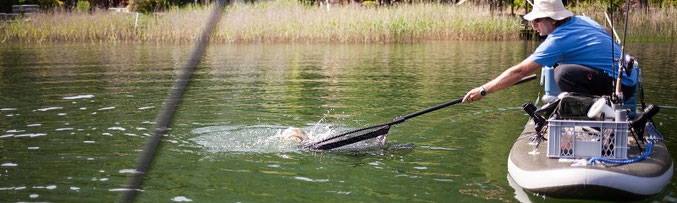 SUPfishing, SUP fischen, Angeln vom SUP, Österreich, 