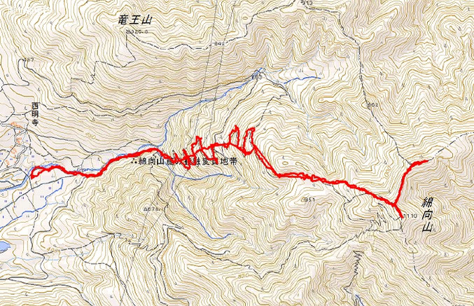 綿向山