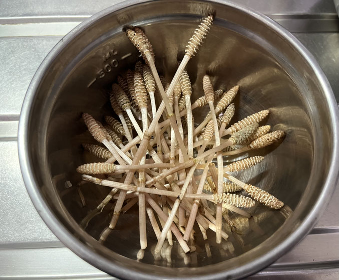 ハカマを取ったら 汚れを落とすために水洗いします。次に沸騰した湯で20秒茹でます。その後、少し水につけてあく抜きしたら食べられます。しょう油、みりん、だしを小さじ1を混ぜたタレで美味しいです