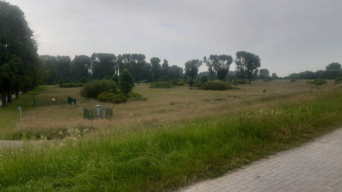 Foto: J. Baade 04.06.2024