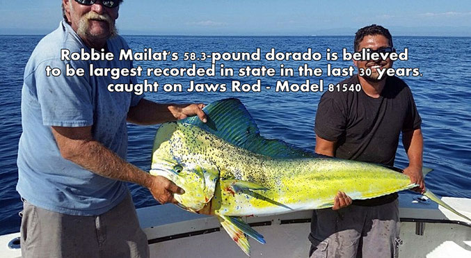 The Largest Dorado is caught by Jaws Rod Blank Model 81540!