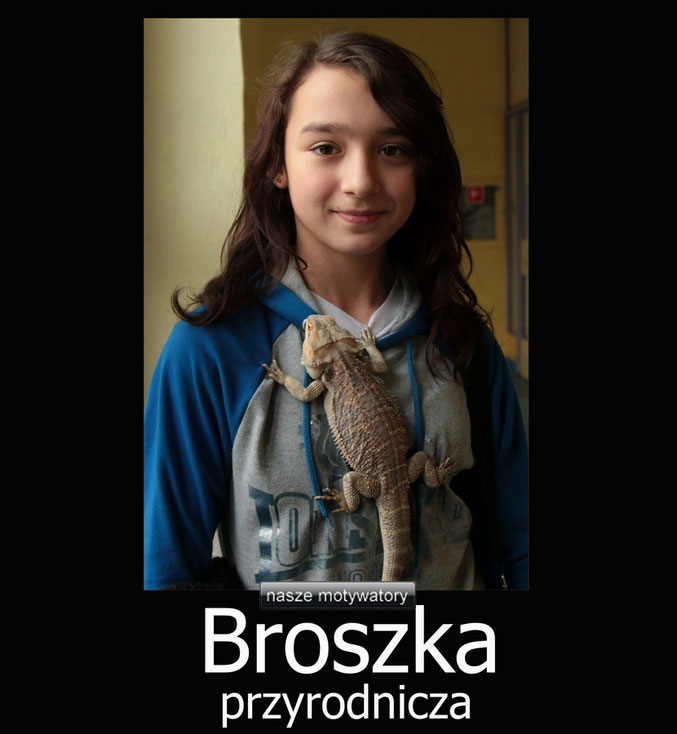 Motywator nr 29