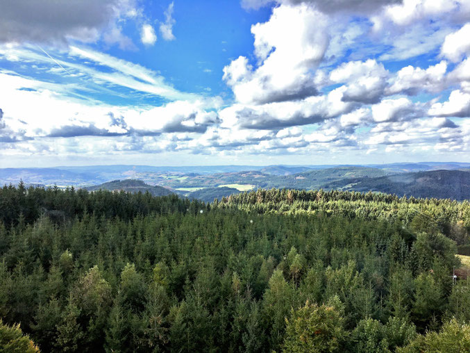 Da geht das Herz des Sauerländers auf: Ein herrlicher Blick über unsere Heimat.