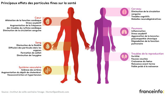 Des conséquences nombreuses et coûteuses sur la santé. Les particules les plus fines sont les plus nocives.