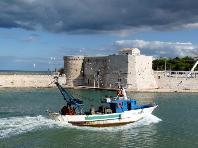 In the harbour of Trani (Puglia) / Nel porto di Trani (Puglia)