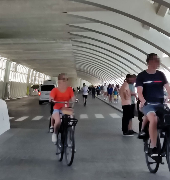 En la Ciudad de las Artes y las Ciencias de Valencia es algo brutal la gente que va, la mayoría turistas. Son como una marabunta que lo arrasan todo.  