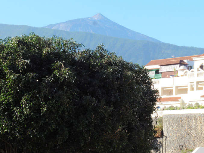 Blick auf den Teide