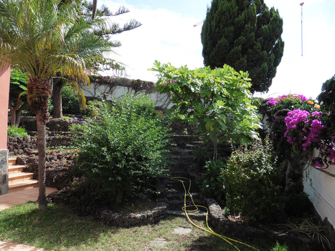 Blick vom Hauseingang auf den Garten