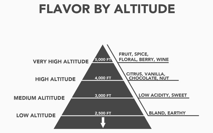 Créditos: dtcoffeeclub - Perfect Daily Grind