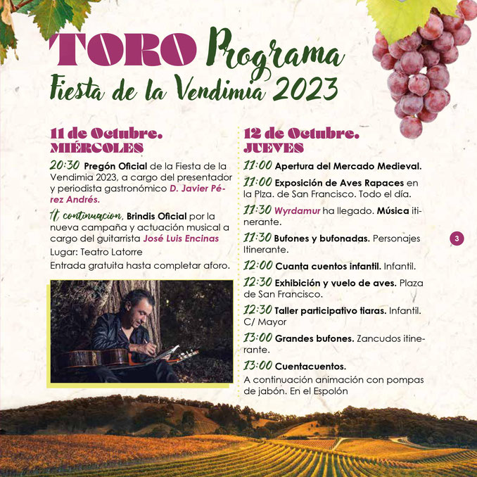 Programa del Mercado Medieval y Fiesta de la Vendimia en Toro