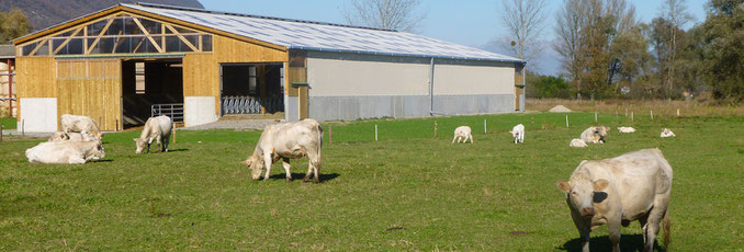 Exploitation ouverte au public à la ferme de crolles