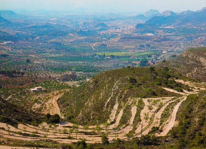 La Foia de Xixona, es una subcomarca de Alicante que actualmente se encuentra  integrada administrativamente en la comarca de l'Alacantí