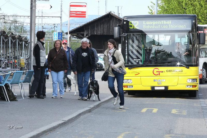 SKN-Kurse Herzogenbuchsee, Langenthal, Oensingen, Koppigen, Wiedlisbach, Niederbipp, Gerlafingen, Aarwangen biete die Hundeschule Matte an.