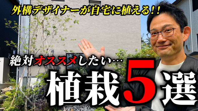 【初心者必見】プロが実際に自宅で植えてる植物5選