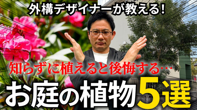 【プロが解説】知らないと絶対後悔する植物選び5つの落とし穴