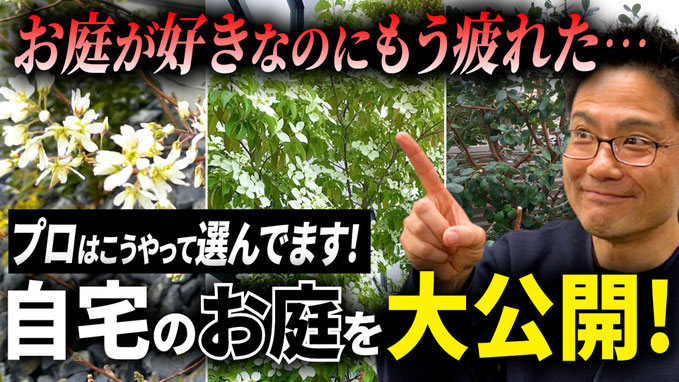 【お庭作り】何を植えれば良いかわからなくなったあなたへ
