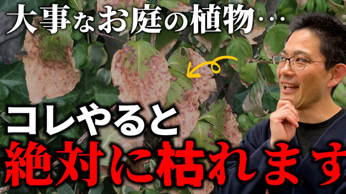 【有料級】お庭の植物を暑さから守る方法