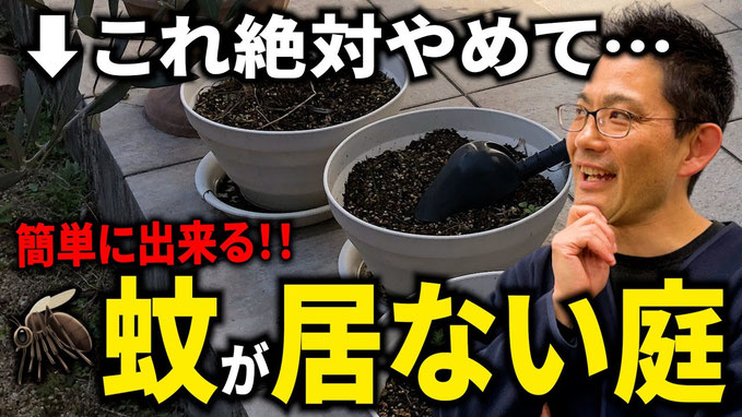【超簡単】庭の蚊が居なくなる方法