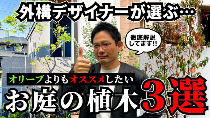 【保存版】外構デザイナーが選ぶオススメすぎる植栽3選