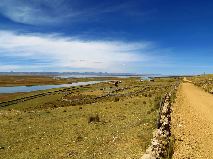 Reserva nacional de Junín