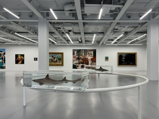 Two Similar Swimming Forms in Infinite Flight, 1993 (Damien Hirst)
