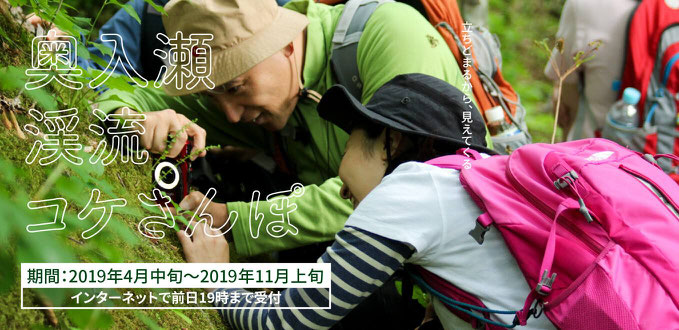 奥入瀬渓流コケさんぽ