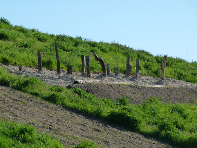 Ausgleichsfläche am Monberg, Foto: J. Baade