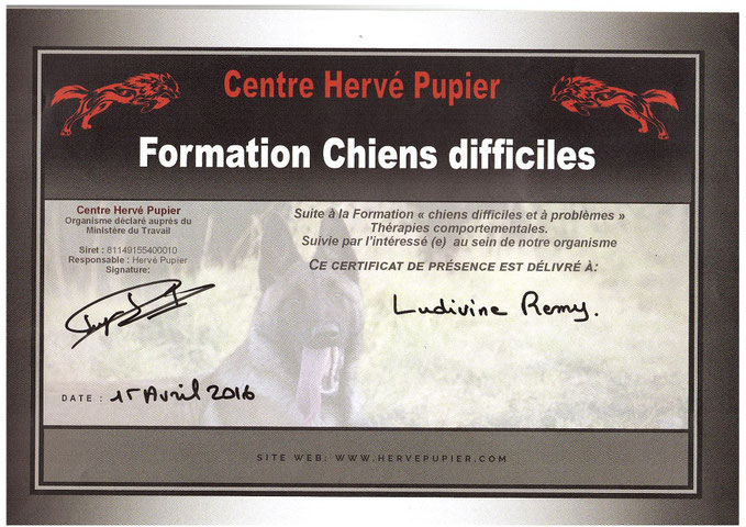 Avril 2016 Formation : "Chiens difficiles et à problèmes" (centre Hervé Pupier)