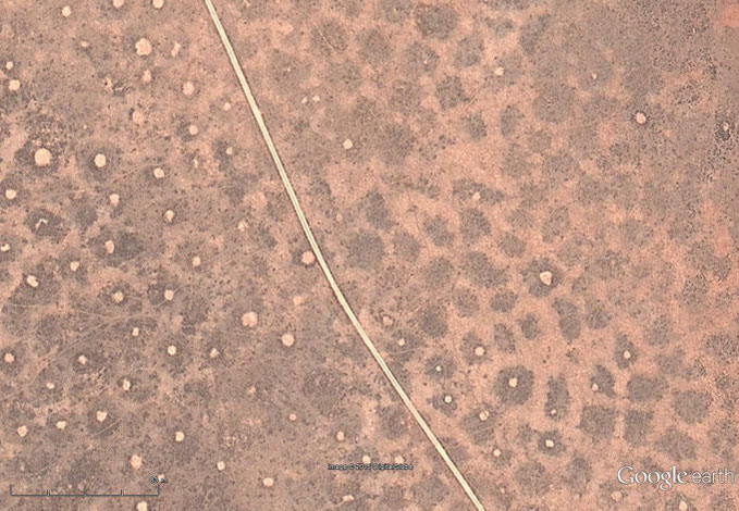 Fig. 2 'Islands of moisture' with and without fairy circles at Marienfluss (Google Earth)   17°34'21.33" S  12°33'41.44" E (go to the year 2013)