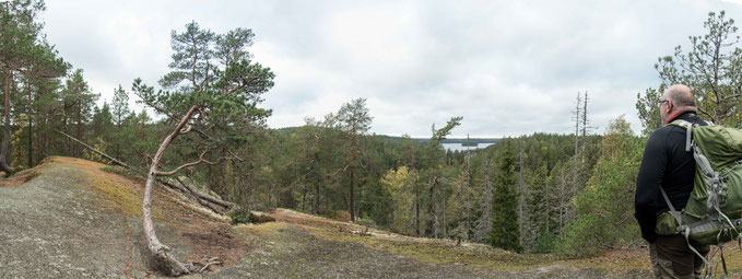 Oxaberget im Tiveden Nationalpark