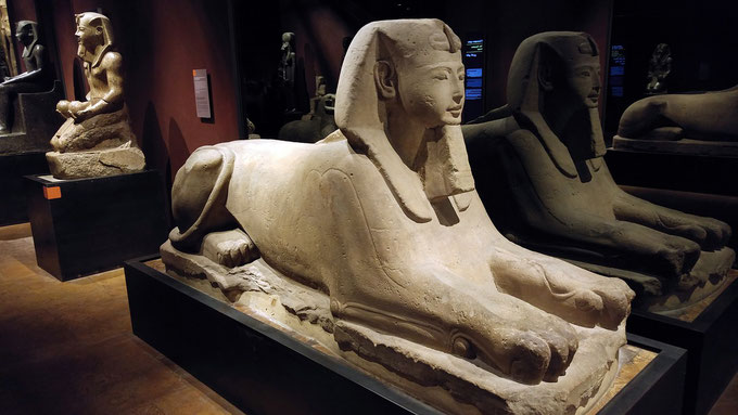 museo egizio torino