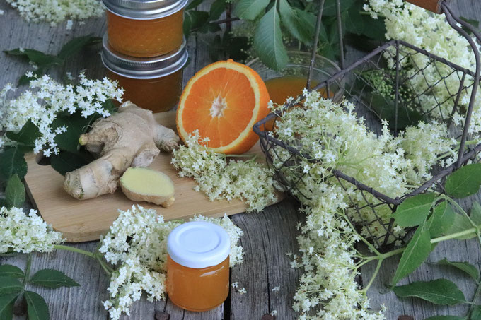 Orangen-Holunderblütengelee mit Ingwer