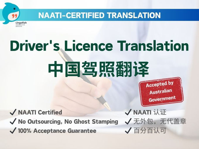 NAATI-Certified English Translation of Chinese Mainland Driver's Licence 中国大陆驾照 NAATI 认证翻译